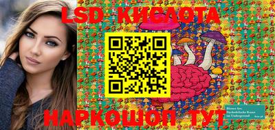 PSILOCYBIN Бугуруслан