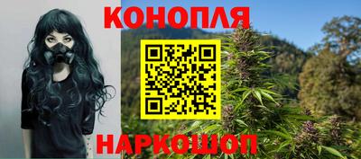 каннабис Будённовск