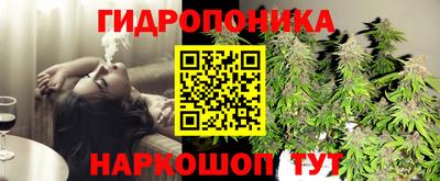 PSILOCYBIN Бугуруслан