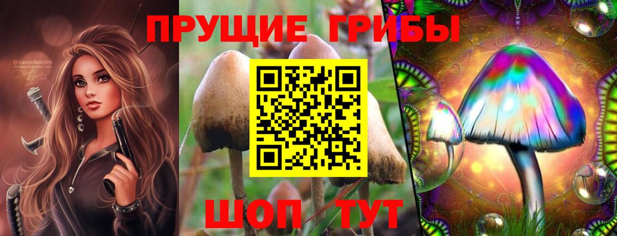 Галлюциногенные грибы Magic Shrooms Людиново