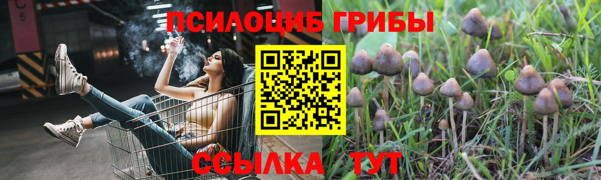 Галлюциногенные грибы GOLDEN TEACHER  Вход с VPN  Галлюциногенные грибы Magic Shrooms  Людиново 