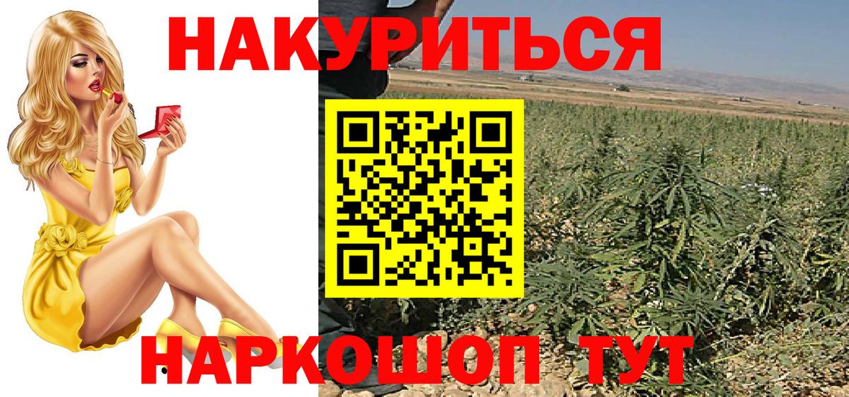 Каннабис конопля Людиново